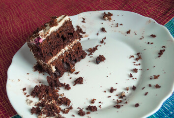 Sponge cake with cream on a white plate.