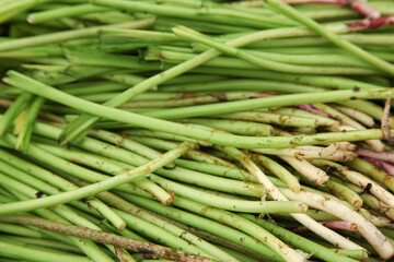 Green herbs, onions in the grocery stock