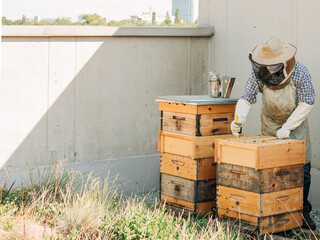 beekeeping in the city on the roof of the building
