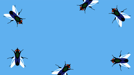 Flies on a blue background. Black flies randomly crawl along the border of the illustration. Template for a postcard, banner, invitation, or ad. Copy space.