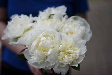 Bouquet of white peonies