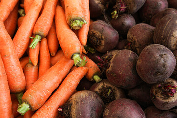Orange carrots and red beetroots in the grocery