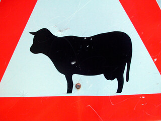 Attention cows crossing traffic sign