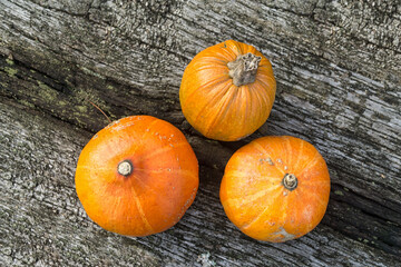 Autumn orange pumpkins on rustic wooden table wiev from above. Organic food and healthy food. Thanksgiving and Halloween concept.