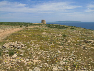 Fototapeta na wymiar Landscape with the defence tower in Cap de Barbaria, Formentera island, Spain