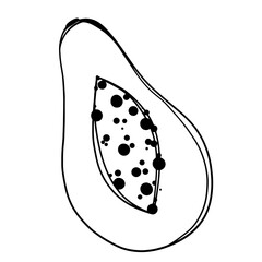 Kawaii tropical fruit papaya half with bone. Doodle line art. Menu print, packaging, wrapping paper, sticker, social media post, banner, postcard, invitation