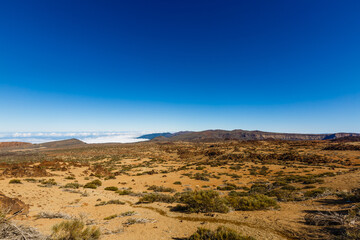 Fototapeta premium Teide National Park, Tenerife, Canary Islands, Spain