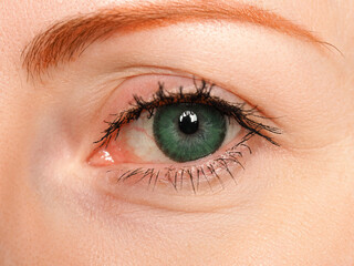 Obraz premium Female left blue eye tinted in green colour with special contact lens