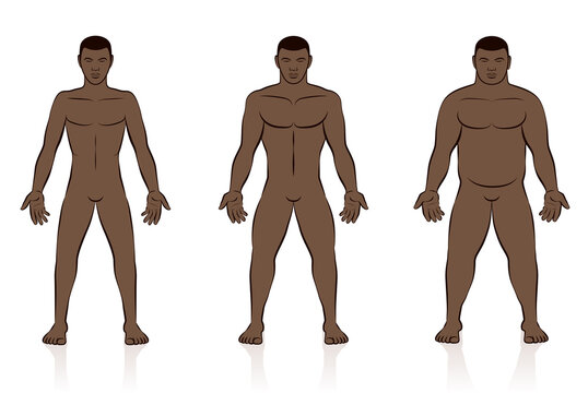 Male Character Figure Types, Man With Rectangle Body Shape Stand With Arm  Akimbo, Posing In Panties And Naked Torso Royalty Free SVG, Cliparts,  Vectors, and Stock Illustration. Image 181960937.