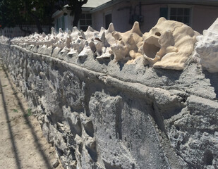 Grand Turk, Turks and Caicos Islands / Caribbean - Oct , 2015
Interesting houses details can be admired around the island, Snail sea shells fence