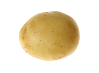 Fresh raw organic potato isolated on white