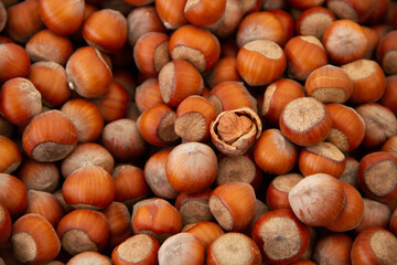 Nuts in their shells in the stock