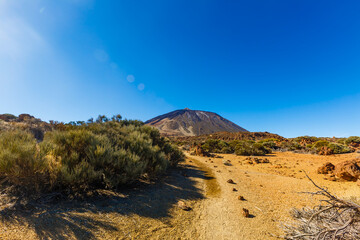 Fototapeta na wymiar Teide National Park, Tenerife, Canary Islands, Spain