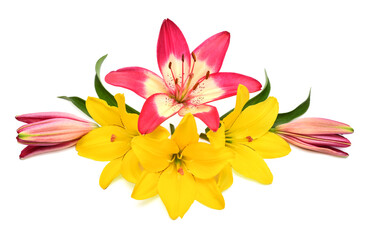 Obraz na płótnie Canvas Beautiful delicate pink, yellow lily macro with leaf and bud isolated on white background. Wedding, bride. Fashionable creative floral composition. Summer, spring. Flat lay, top view. Love