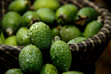 Green feijoa fruits with water drops on them