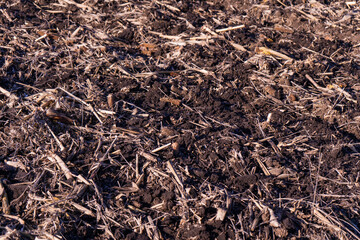  Field after harvest texture, plowed field