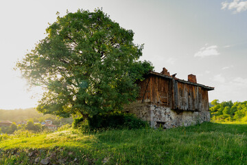 An old stone and wooden house with a  big tree and village in background, Kizilcahamam, Ankara, Turkey