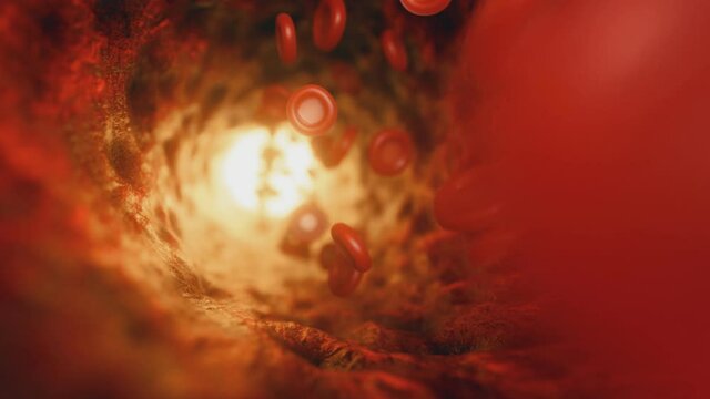 Red blood cells travelling through a blood vessel. Seamless loop 3d render
