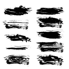 Abstract strokes painted by brush vector objects isolated on a white background