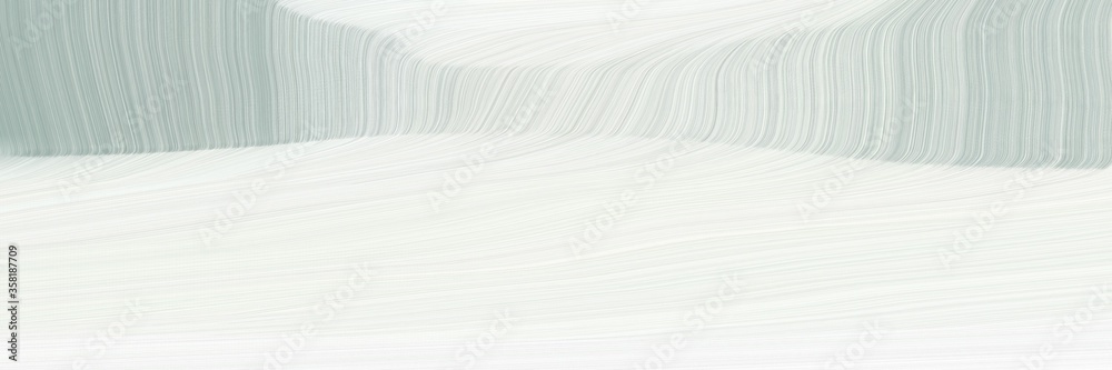 Poster abstract and smooth background elegant graphic with white smoke, ash gray and pastel gray color. mod