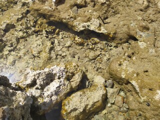 Stones in the beach