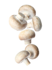 Set with fresh champignon mushrooms falling on white background