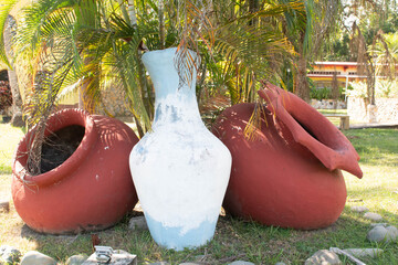 Three pots inder palm