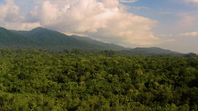 Amazon Rainforest aerial drone footage above the trees, clear blue sky, mist in the air, hills, mountains in the background