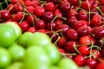 Green cherry plums and red cherries 