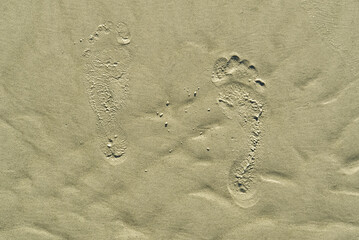 Fototapeta na wymiar footsteps on beach in sandy. Footsteps on the coral sandy beach. footprints in the sand.