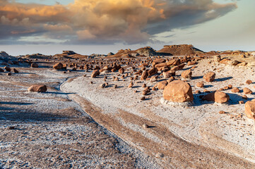 Bisti De Na Zin Wilderness Boulder Field 