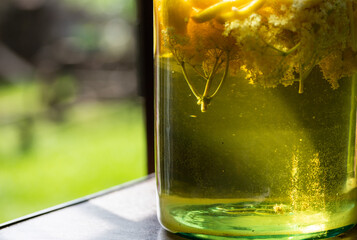 homemade syrup of elderberry flowers in a glass jar