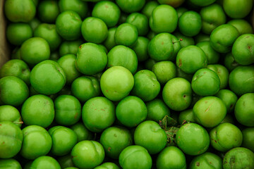 Fresh green cherry plums in the stock