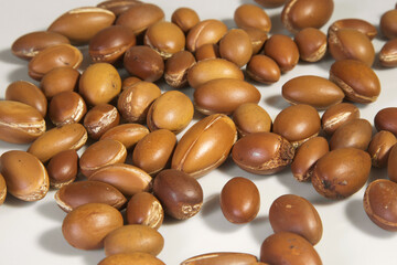 Argan nuts on a white  background, close up
