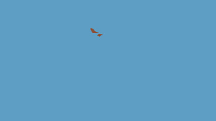 Futuna tectonic plate - raster. Pattern