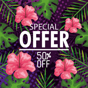 special offer fifty percent discount, banner with flowers and tropical leaves background, exotic floral banner vector illustration design