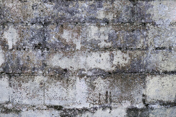 Ein marodes Mauerwerk mit kaputtem Putz, Löchern und Schimmel an einem Gebäude