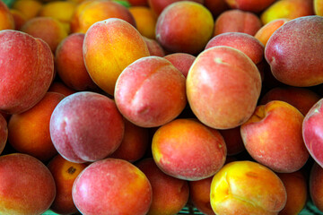 Fresh purple plums in the market for sale