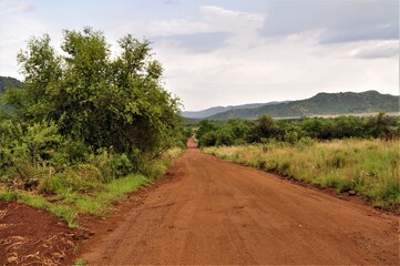 Fototapeta na wymiar A sandy path into the african bush