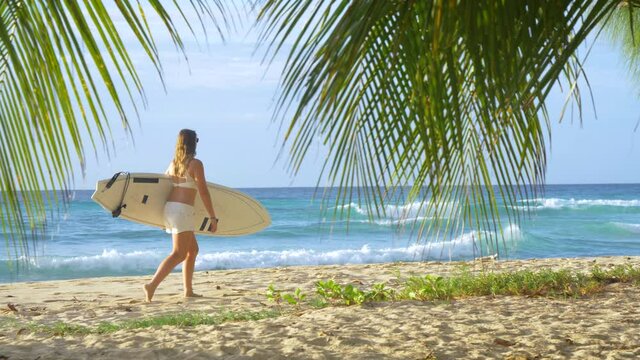 SLOW MOTION, CLOSE UP: Young female surfer carries her surfboard along the sandy shoreline on a sunny summer day in Barbados. Palm tree leaves obstruct the view of a surfer girl walking along beach