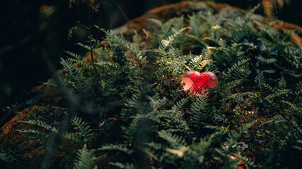 Red glas heart hiding in the ferns
