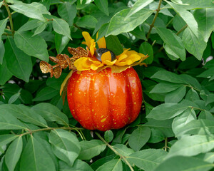 Fake Pumpkin sitting in a green bush of leafs contrast photograph