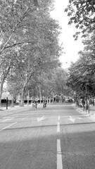 cycling in a empty road with trees, black and white