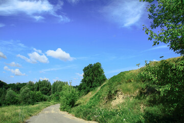 Fototapeta na wymiar Road in the village among beautiful nature. Landscape in the summer. Stock photo background