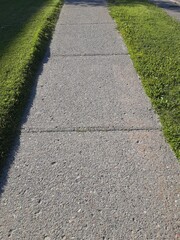 Obraz premium path in the park