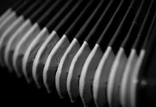 accordion black and white macro close up