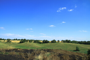 Obraz premium Beautiful summer landscape of nature countryside. Green vegetation of grass and trees with hills. Stock photo for design