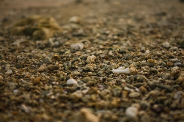 texture of sand