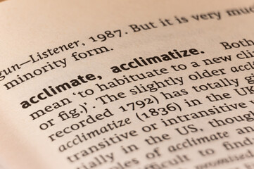 Dictionary definition of the word acclimate
