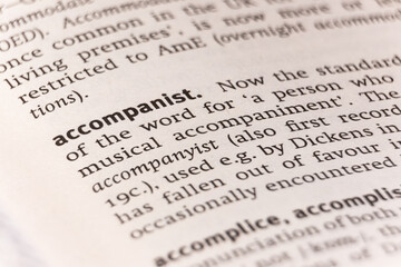 Dictionary definition of the word accompanist